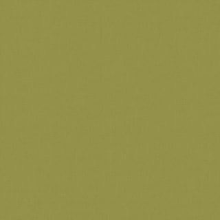 Dim Out Roller Blind - Vine Dim Out Roller Blind - Vine