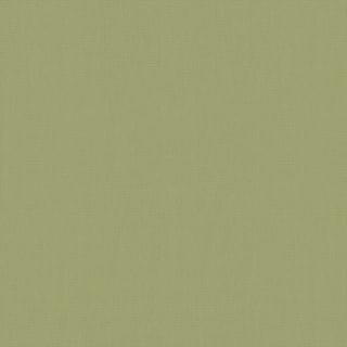 Dim Out Roller Blind - Glade Dim Out Roller Blind - Glade