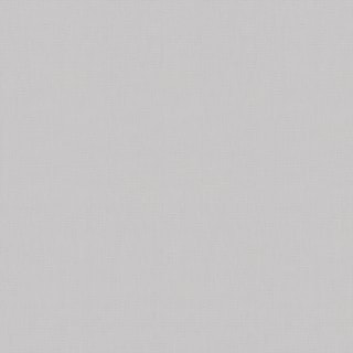 Blockout Roller Blind - Canvas Blockout Roller Blind - Canvas