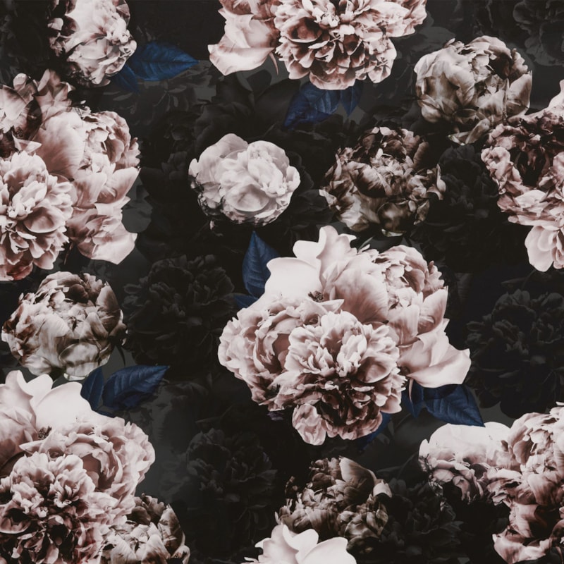 Made 2 Measure Roman Blind - Belle Peony Made 2 Measure Roman Blind - Belle Peony