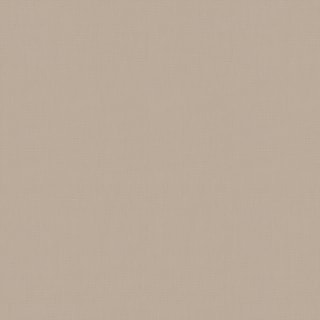 Dim Out Roller Blind - Placid Dim Out Roller Blind - Placid